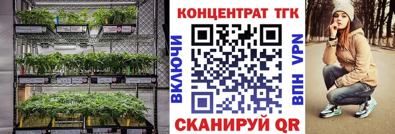 купить наркотик гидра ССЫЛКА Дистиллят ТГК гашишное масло Курган