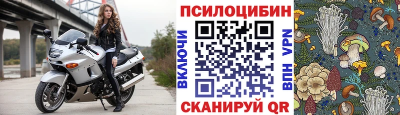 Галлюциногенные грибы Psilocybe  Курган 