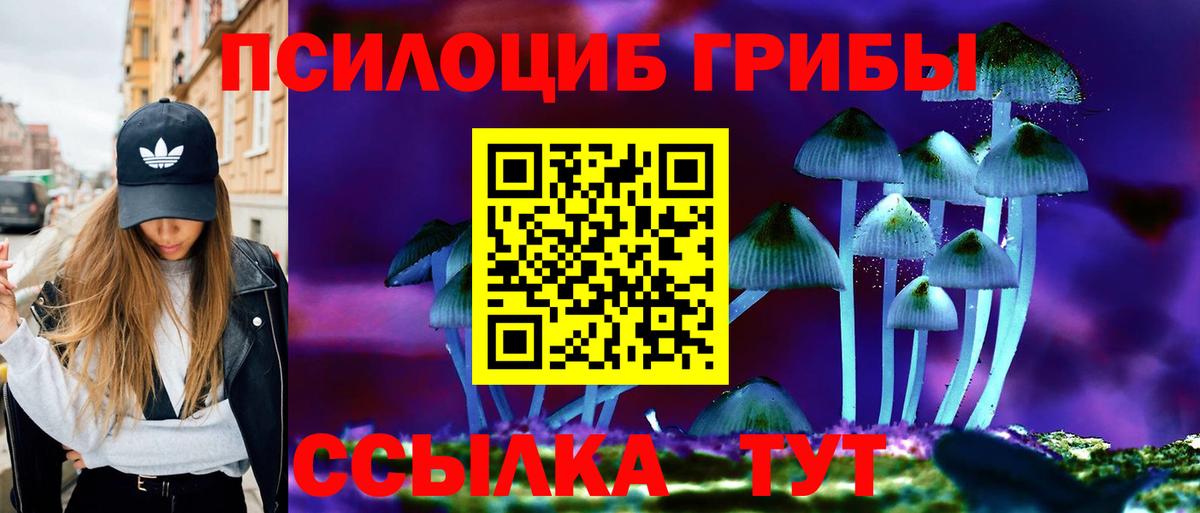 Галлюциногенные грибы GOLDEN TEACHER Курган