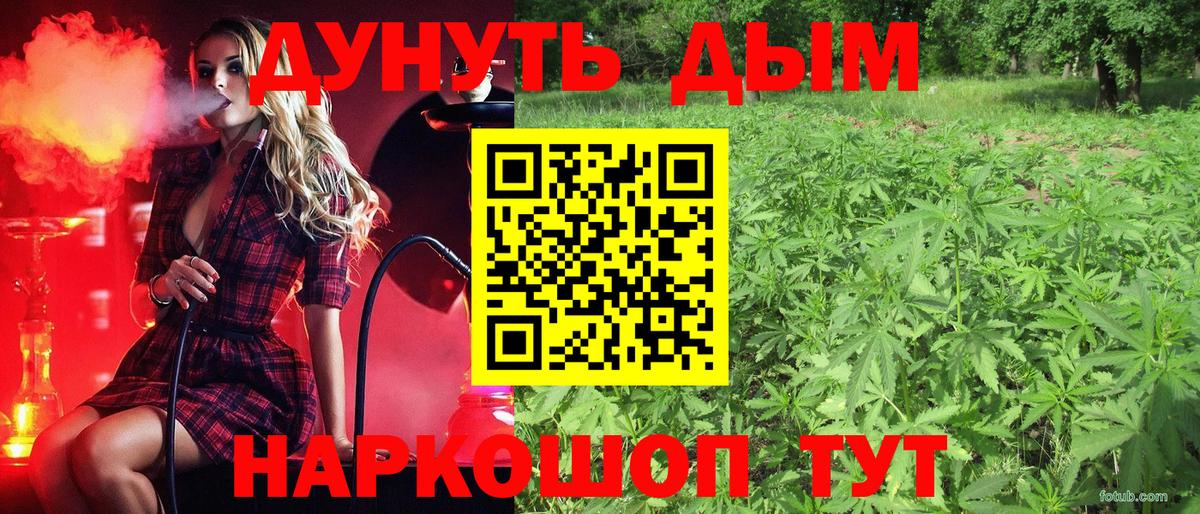 Марихуана тримм  Вход с VPN  Бошки марихуана конопля  Курган  Канабис THC 21%  Бошки марихуана VHQ 